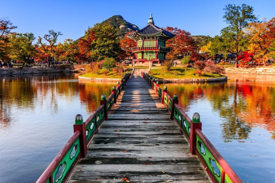 6D4N KOREAN SARANGHAEYO